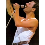 Freddie Mercury - The very best solo