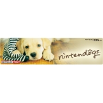 Nintendog labrador Nintendog labrador