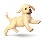 Nintendog labrador Nintendog labrador